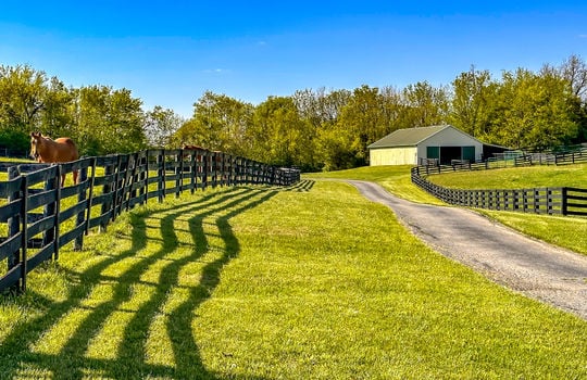 Land for sale-Danville Kentucky-farms for sale-horse farm for sale, horse boarding-212