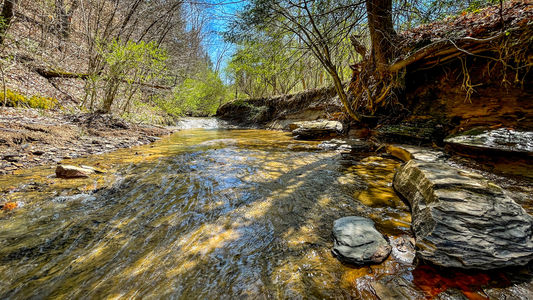 Mountain Property Cheap Land for Sale-001