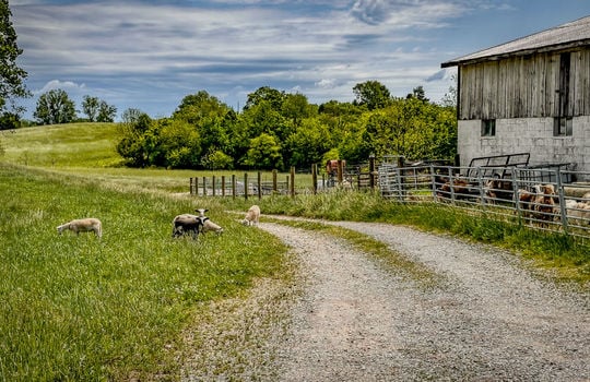 Prime farmland for sale central Kentucky 4465-40