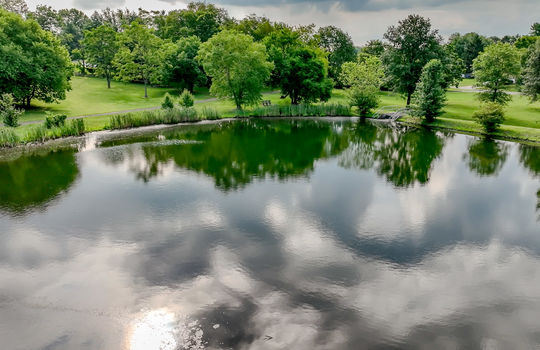 Danville Kentucky log cabin for sale-130