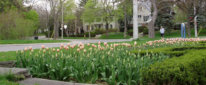 Bedford Park-Nortown