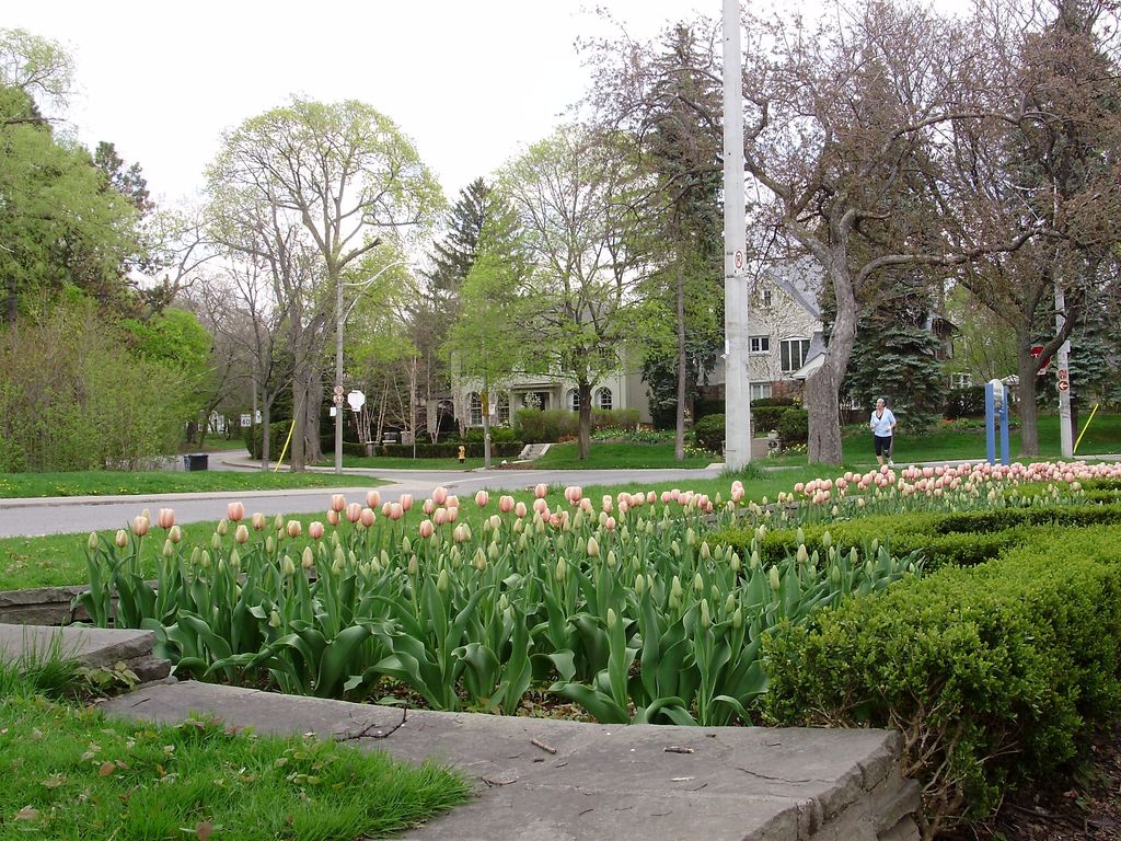 Lawrence_Park_South