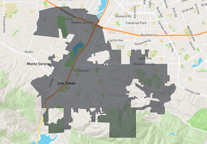 los gatos.png