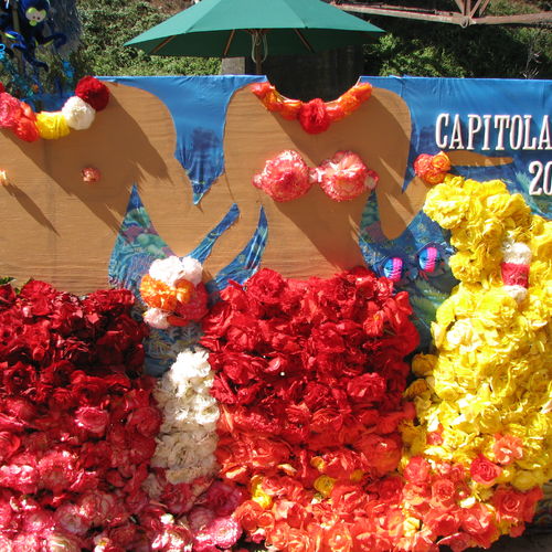 Capitola Begonia Festival 2008