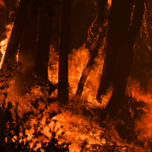 Protect your Home from Wildfires