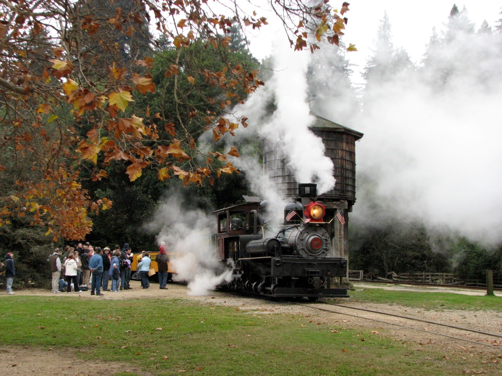 Roaring Camp Railroad Steam Locomotive