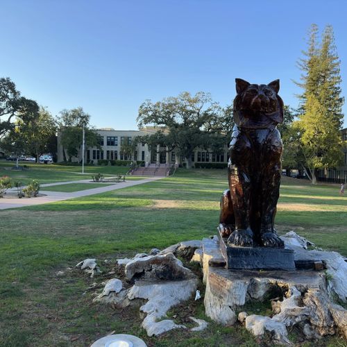 5 Things You May Not Know About Los Gatos