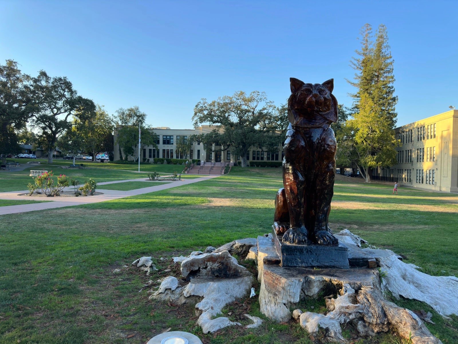 Los Gatos High School Cat Statue