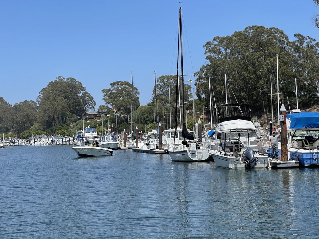 Santa Cruz Yacht Harbor Boats