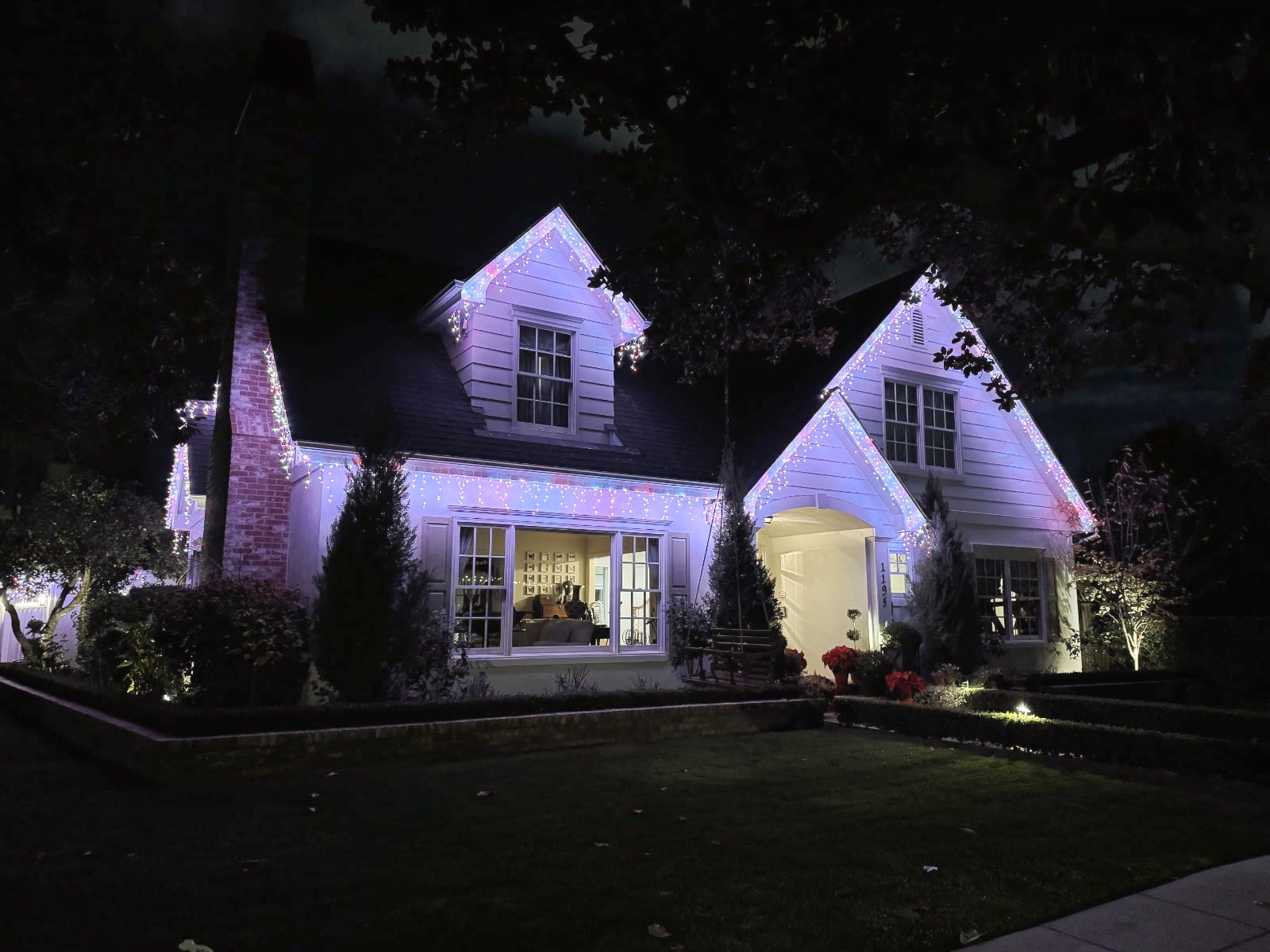 Willow Glen Christmas Lights Seb Frey, REALTOR