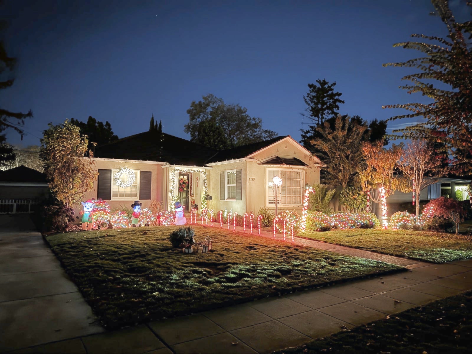 Willow Glen Christmas Lights Seb Frey, REALTOR