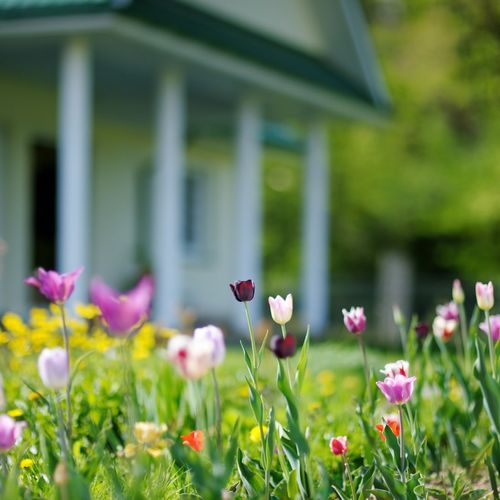 Spring is the Best Time to Sell a Home in the Bay Area