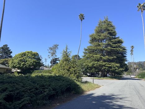 la-selva-beach-street-east-2