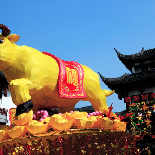 Happy Lunar New Year Bay Area - the Year of the Ox!