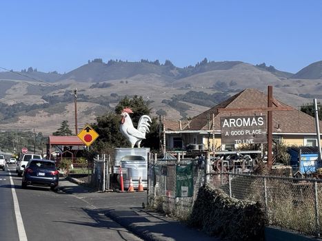 monterey-county-aromas-IMG_2532-2