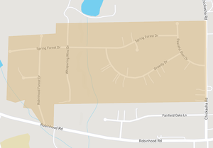 robinhood forest.png