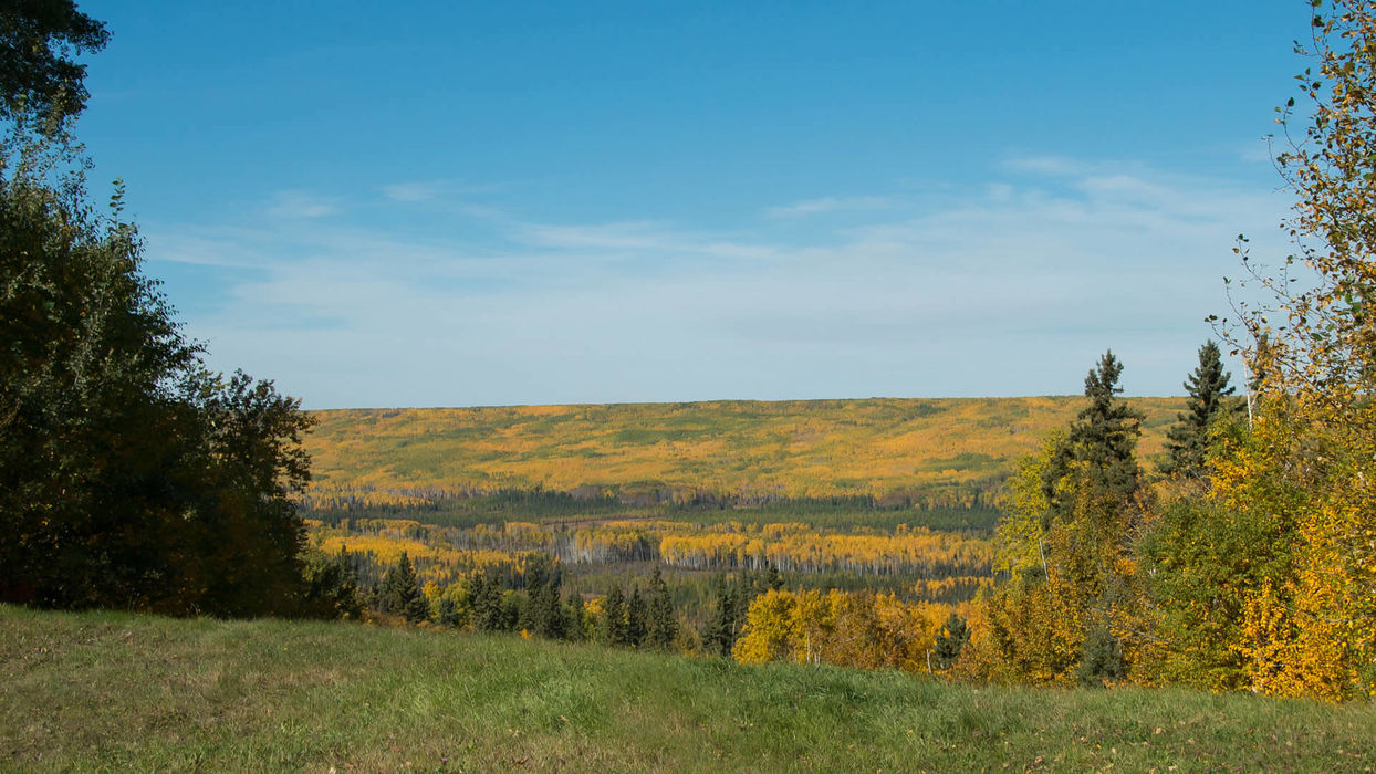 Local Real Estate Experts in Fort McMurray THE LORE GROUP