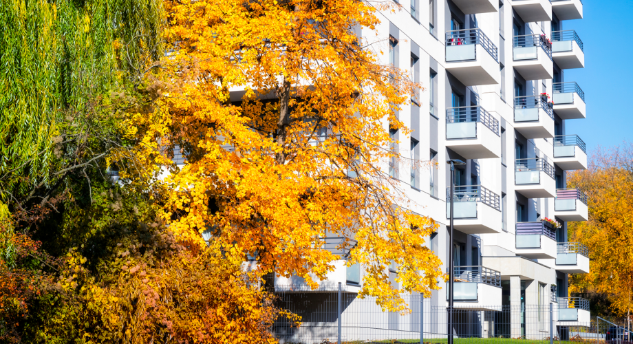 Fall Condo