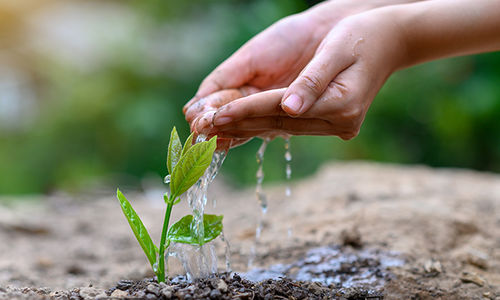 Guidance and Support Are Key When Buying Your …