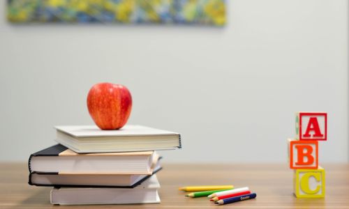 The challenges facing the 2020- 2021 Public School …