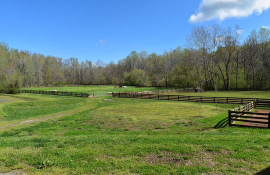 runneymede-neighborhood-pastures-1-davidson-nc