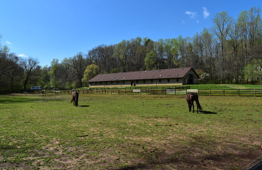 runneymede-neighborhood-pastures-4-davidson-nc
