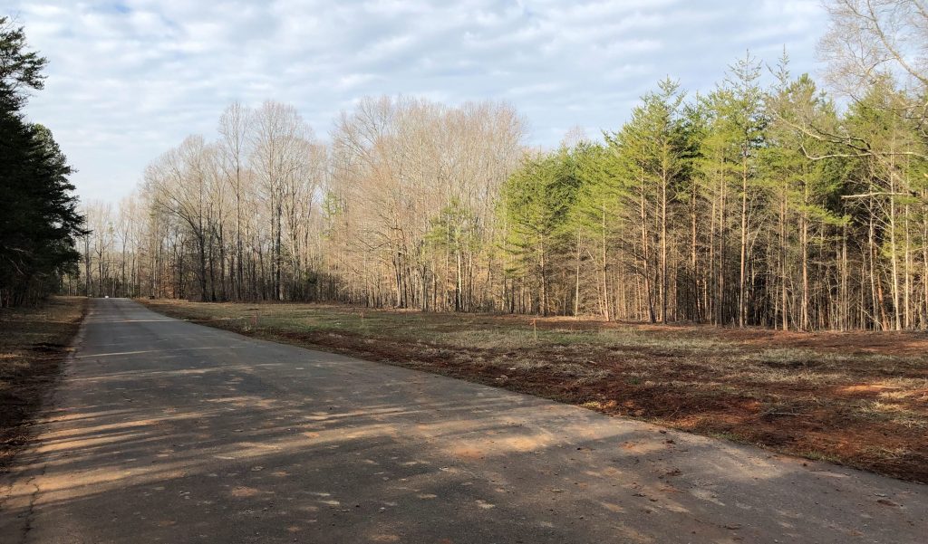 Maple Grove Homes For Sale Davidson NC Allen Adams Realty