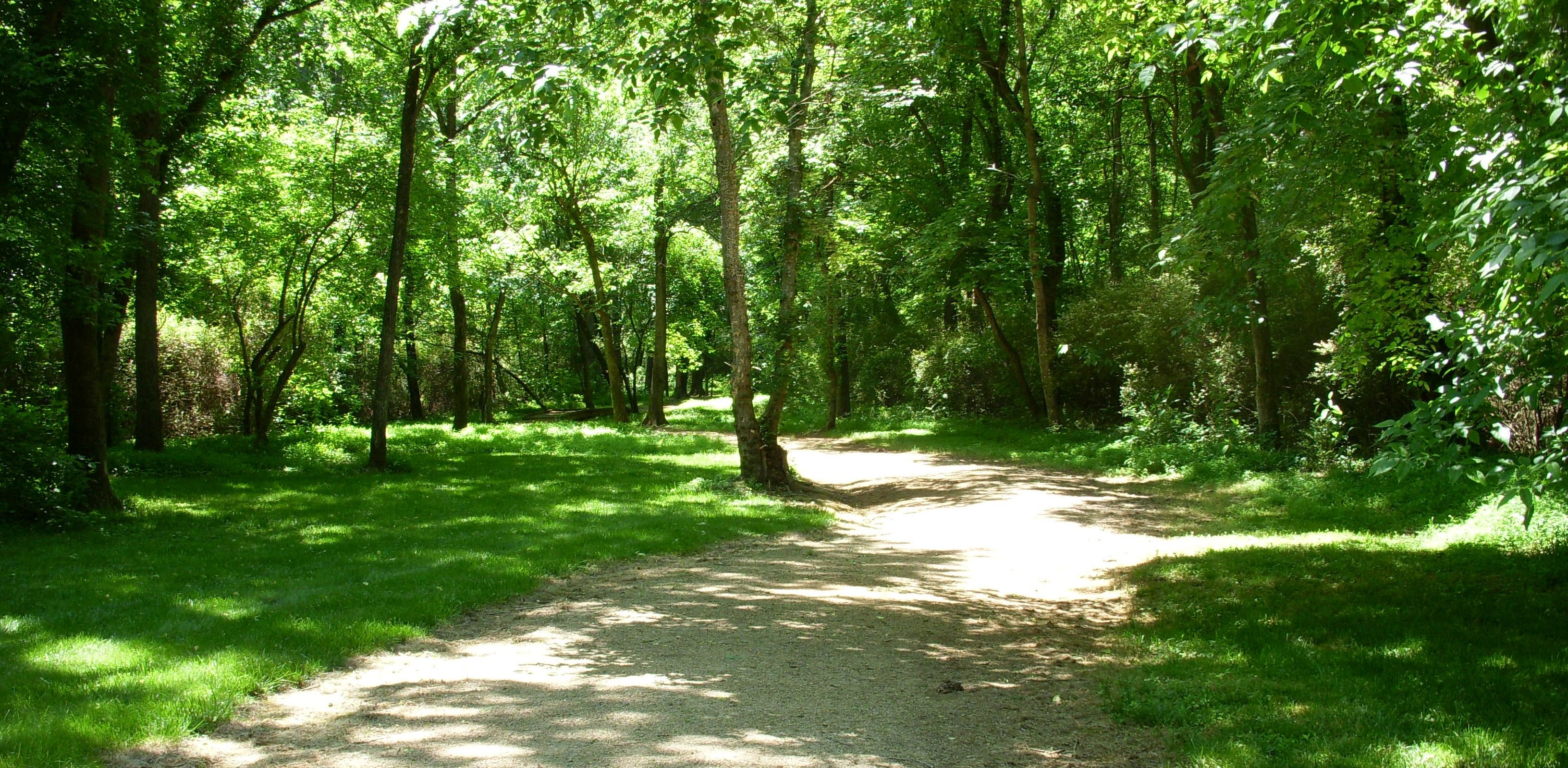 View of Anniston Trail 1
