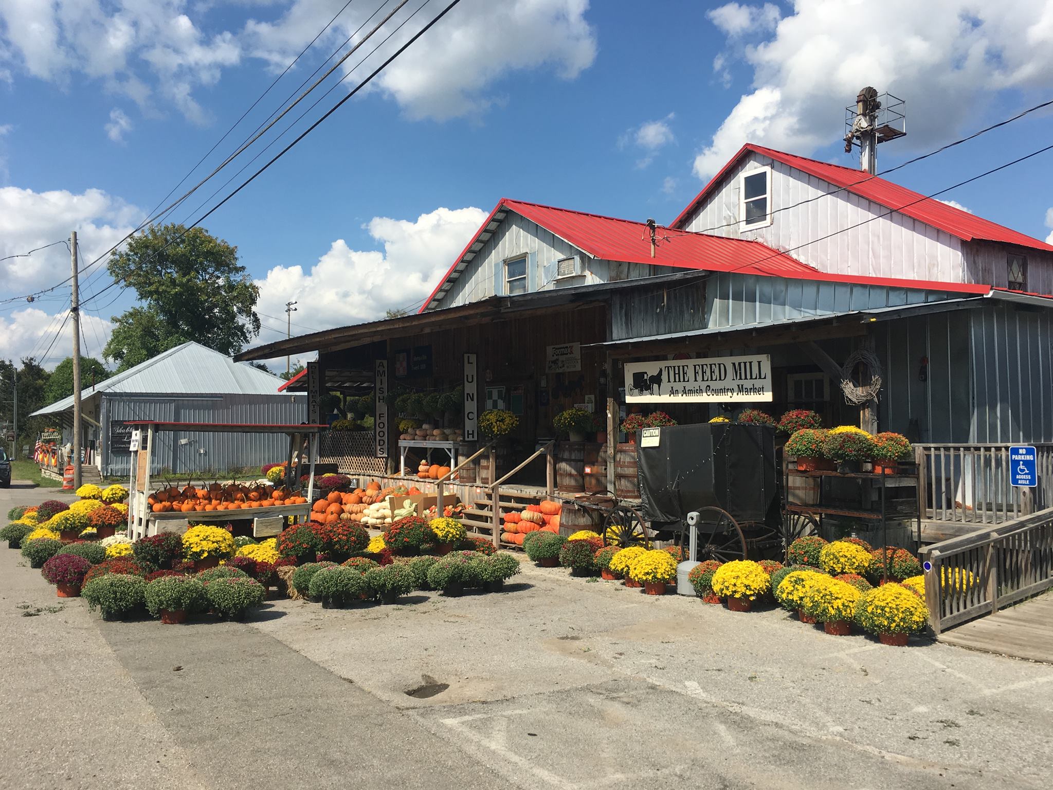 nolensville feed mill, one of nolensville's fascinating facts