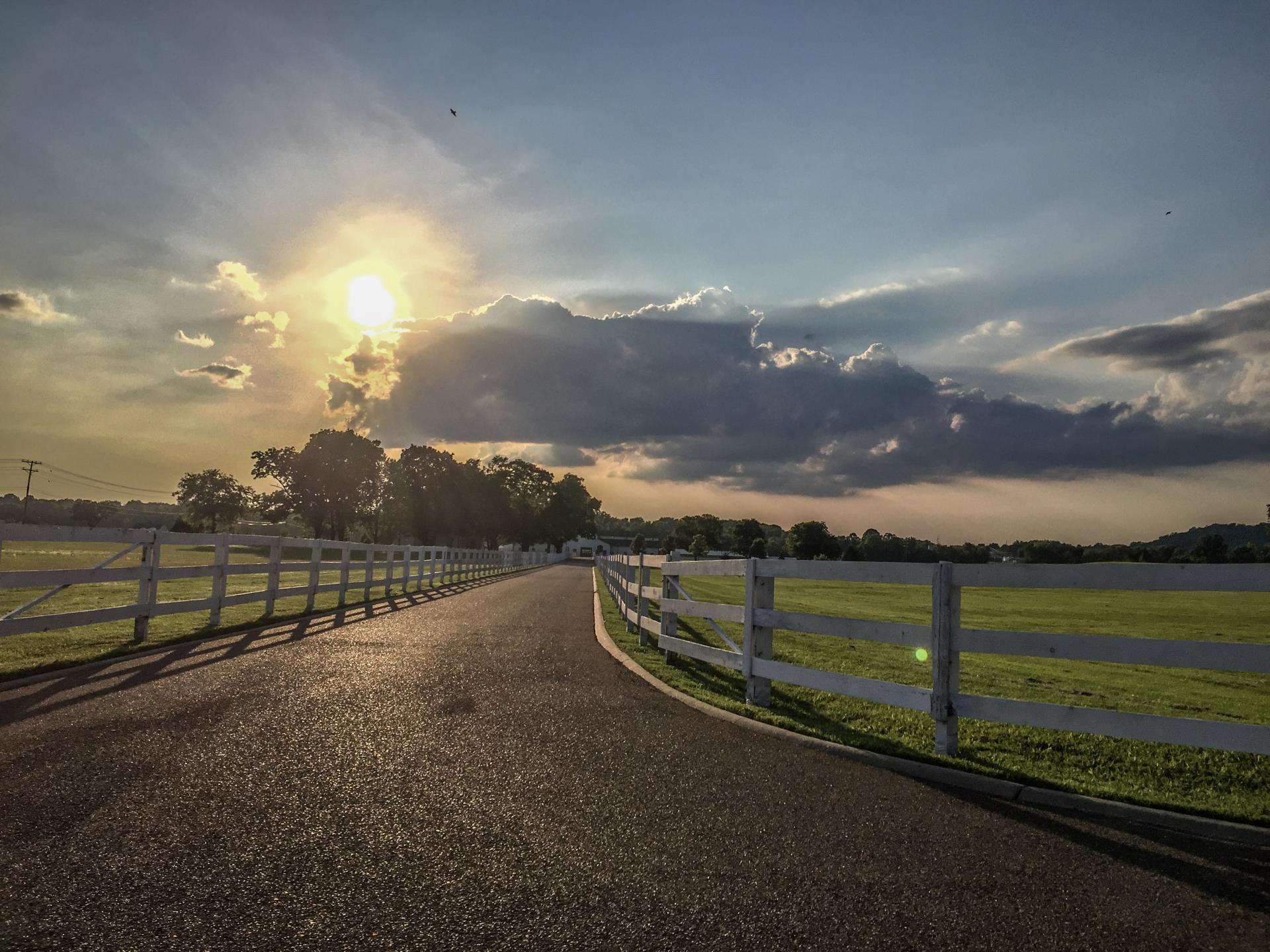 one of the top things to do in franklin, tn - harlinsdale farm