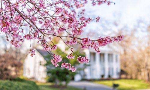 4 Ways To Make an Offer That Stands …