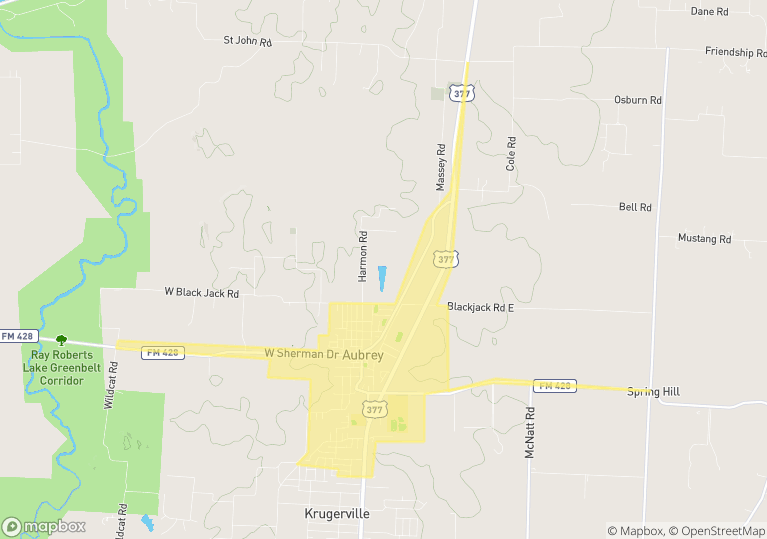 Aubrey, TX Real Estate Homes for Sale // HELEN PAINTER