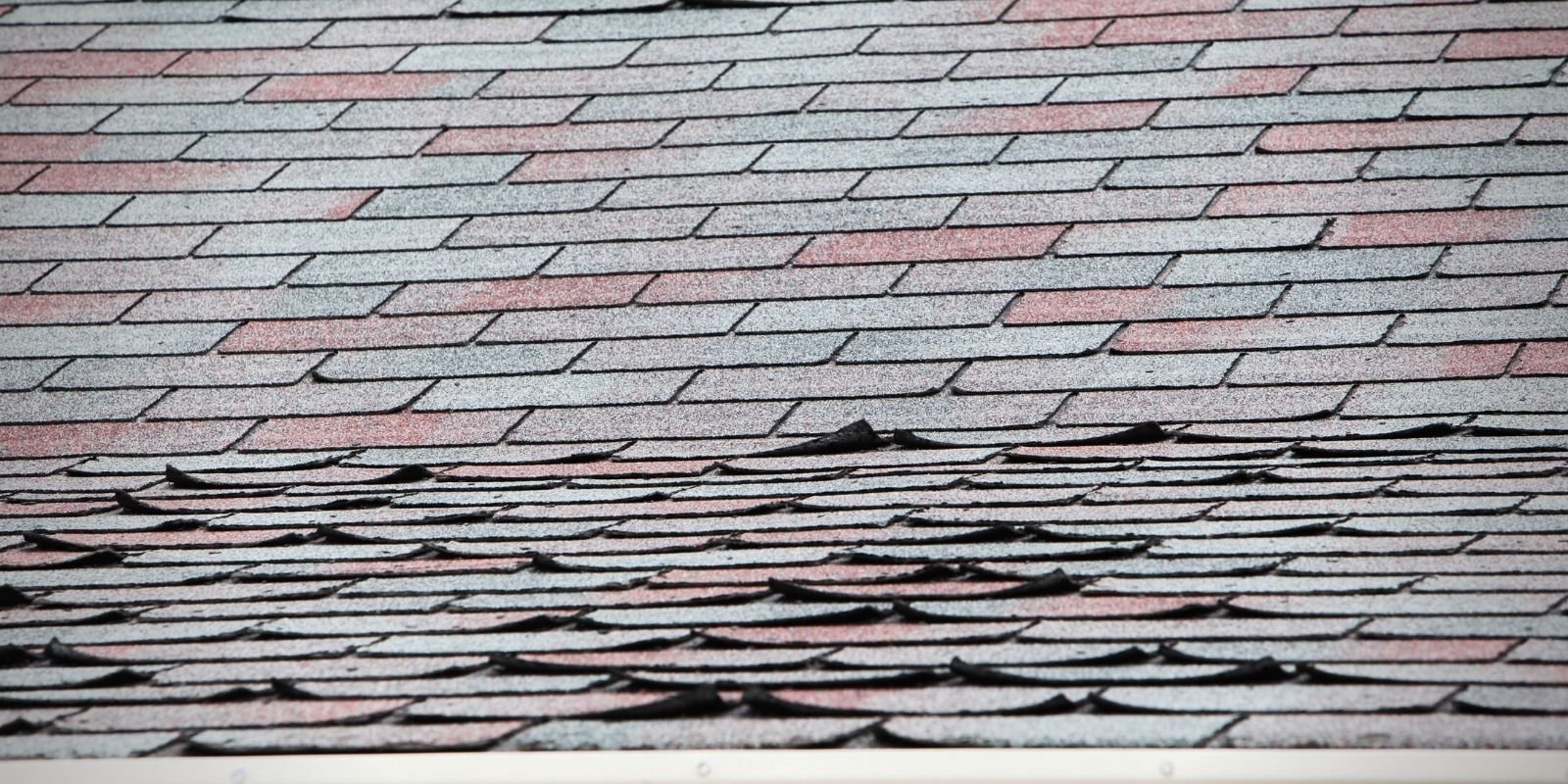 Damages shingles on a roof