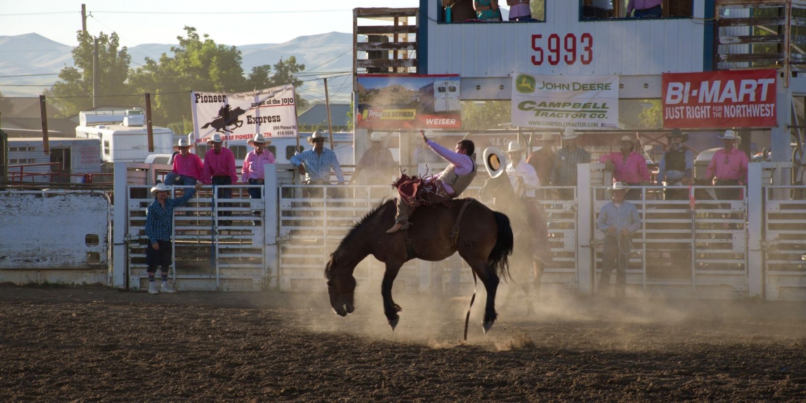 Cowboy riding a bronco at a rodeo in Fort Worth