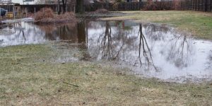 Backyard flooded because of poor drainage and grading