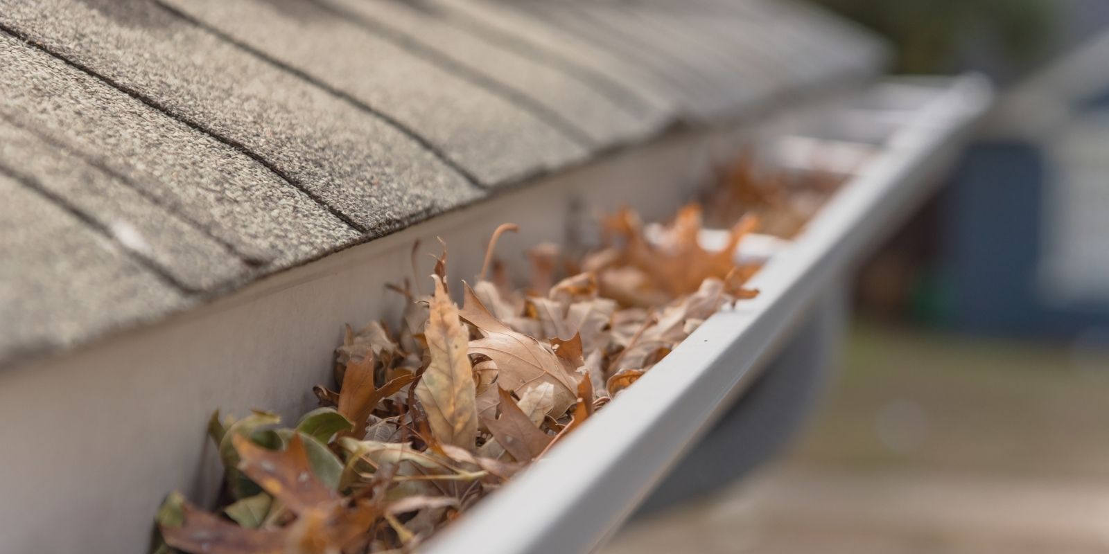 Gutters blocked by leaves and other debris