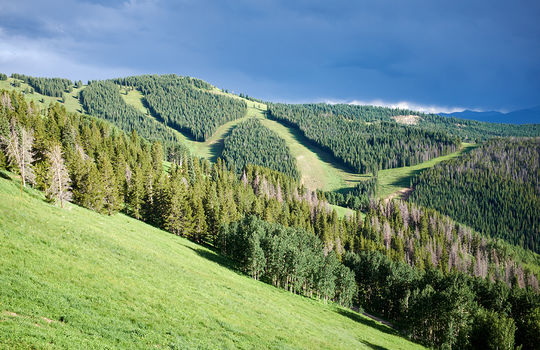 Sun shining on lush green trees in valley