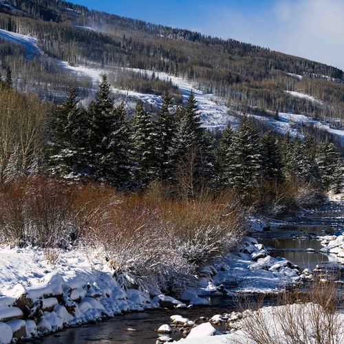 Whats Happening in the Vail Valley - November 2020