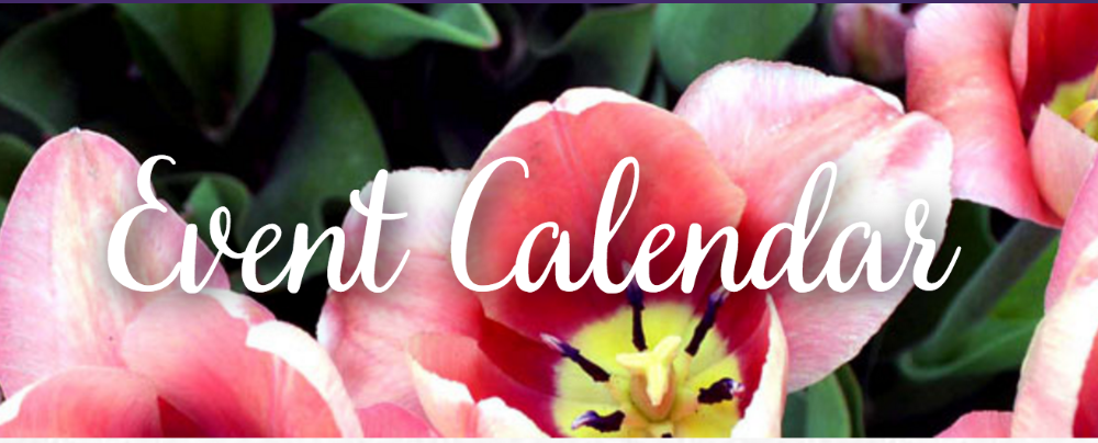 Screenshot 2016-06-23 09.11.05