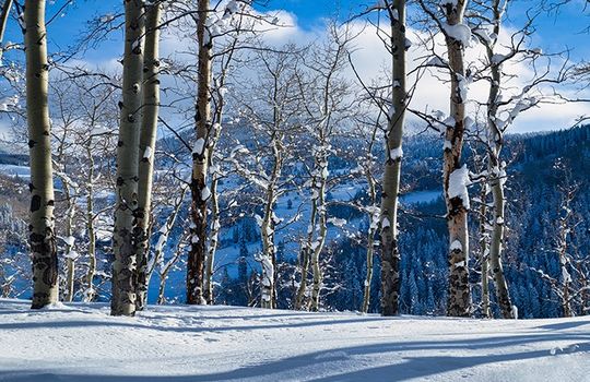 Beaver Creek Mountain, CO