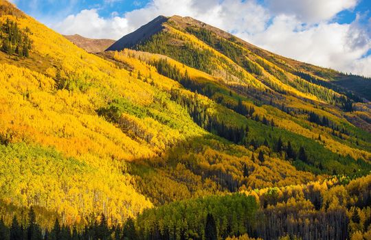 Fall Hills of Colorado