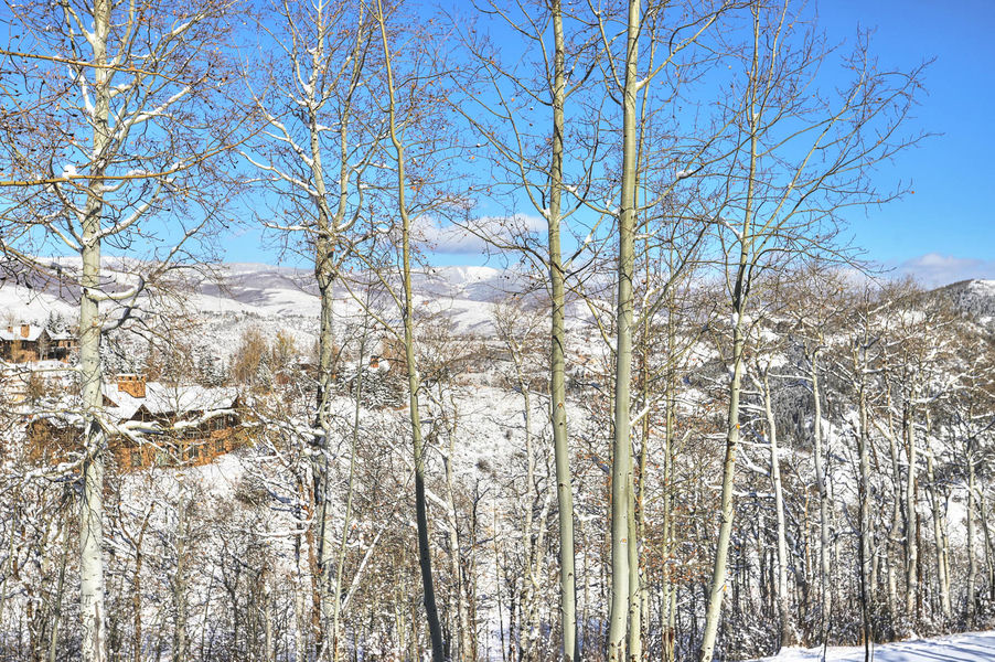 012 277 Saddle Ridge Loop