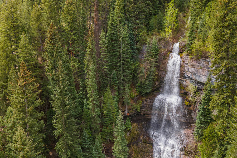 4196-Columbine-Road-0046