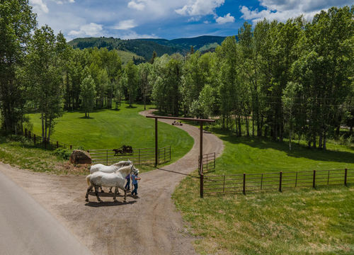 9273-Brush-Creek-Website-and-MLS-I-mes-0015