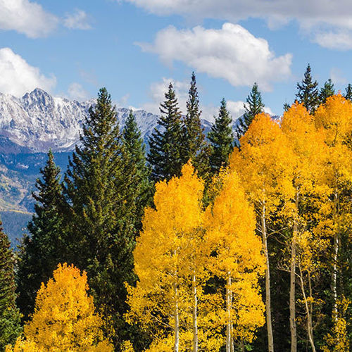 What's Happening in the Vail Valley - October 2022