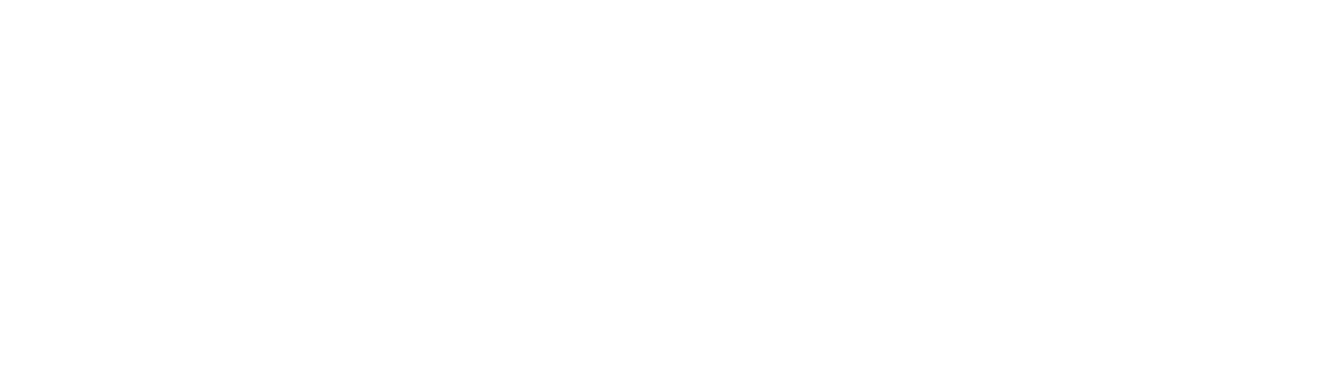 liv horizontal logo web