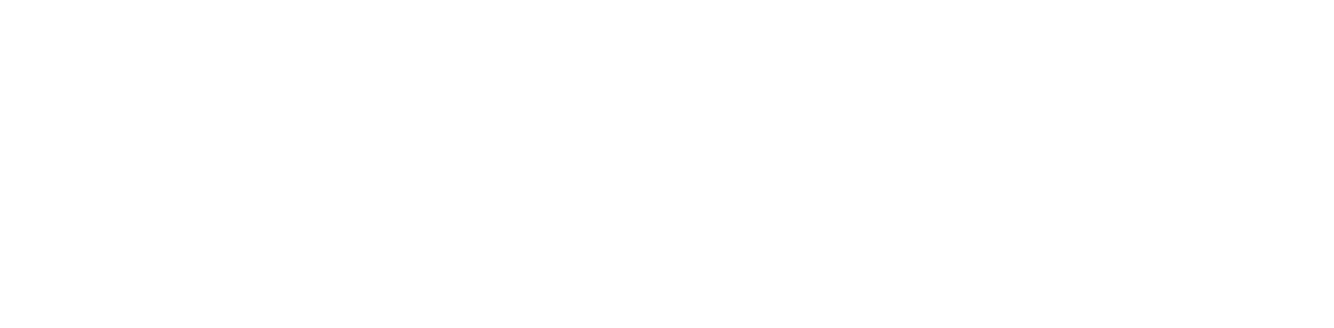 liv logo final horizontal web