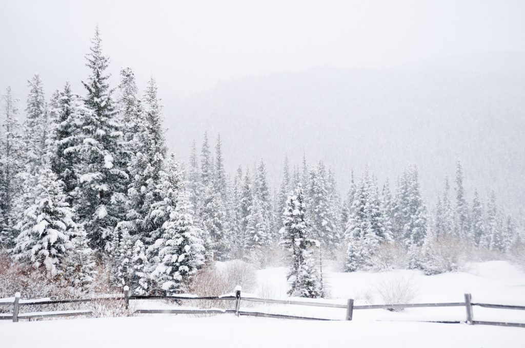 Cordillera Real Estate Market Update Newsletter Late Winter 2023