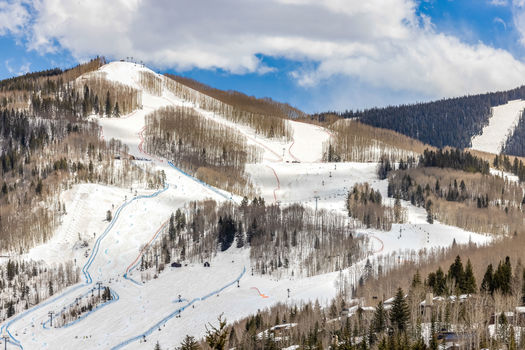 521 E Lionshead Circle 602 13