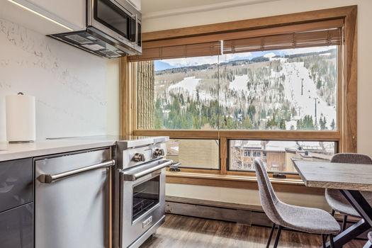 521 E Lionshead Circle 602 18